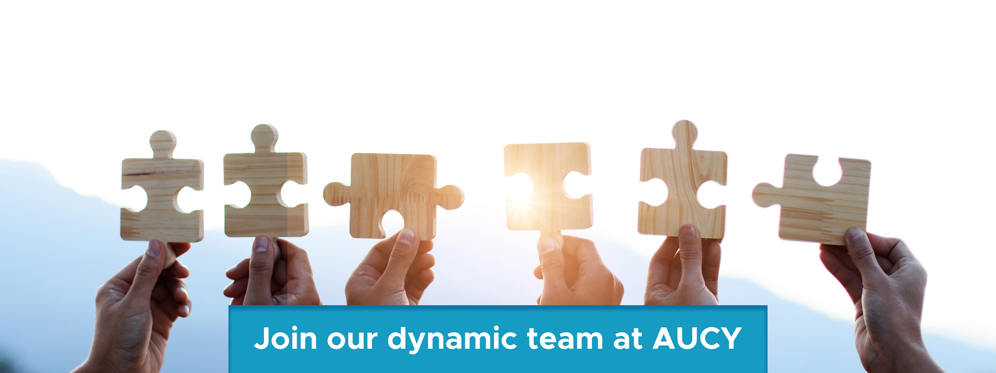 The American University of Cyprus - Vacancies